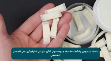 باحث سعودي يكشف مفاجأة جديدة حول تأثير أكياس النيكوتين على الجهاز الهضمي